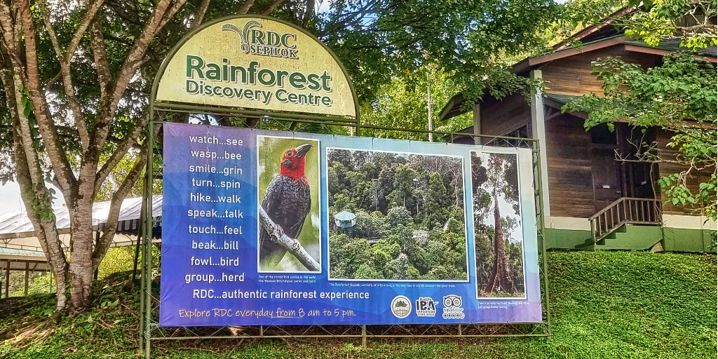 Rainforest Discovery Centre